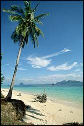 Phuket has more then hotels, nightlife and long beaches, take some tours and explore. This photo is from Phi Phi Islands